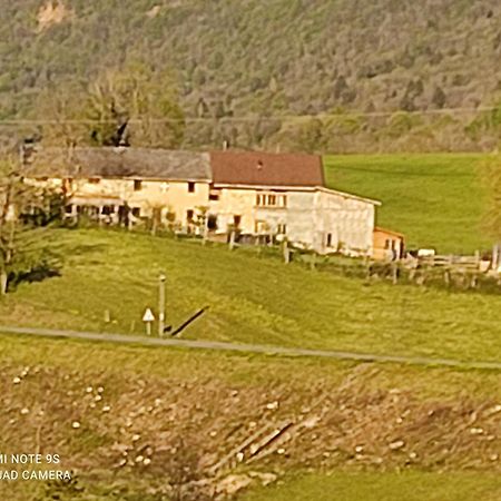 La Chambre Savoyarde Chez Les Garcons Saint-Paul-sur-Yenne 외부 사진